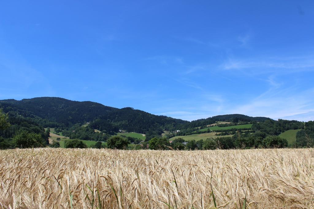 Landgasthof zum Schützen Oberried  Exterior foto