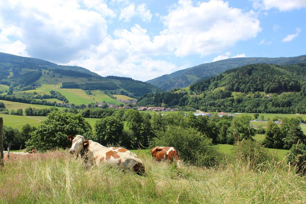 Landgasthof zum Schützen Oberried  Exterior foto