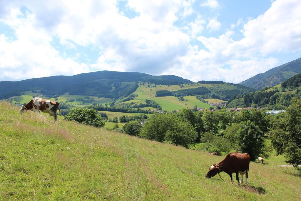 Landgasthof zum Schützen Oberried  Exterior foto